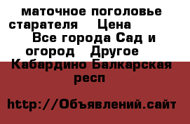 маточное поголовье старателя  › Цена ­ 3 700 - Все города Сад и огород » Другое   . Кабардино-Балкарская респ.